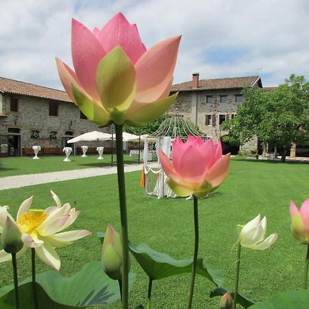 Agriturismo Il Vagabondo Buttrio ภายนอก รูปภาพ